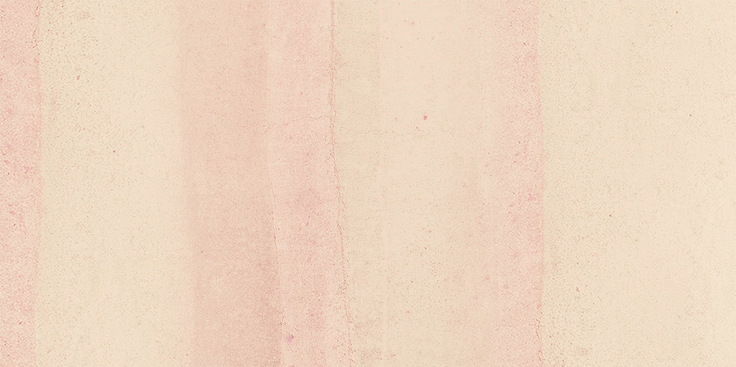YYSJBPT001