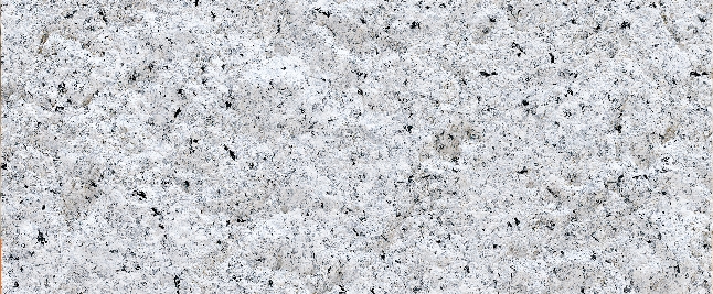 FloraFall Grey