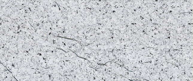 Flora Fall Grey