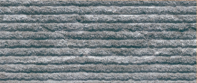 Bookart Grey